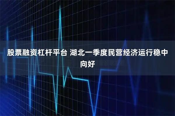 股票融资杠杆平台 湖北一季度民营经济运行稳中向好